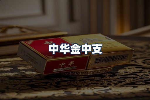 中华金中支